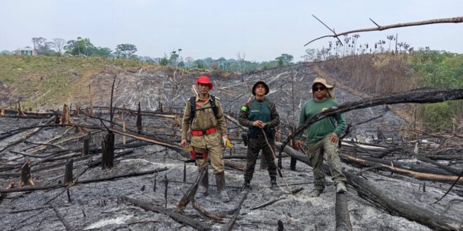 Eles insistem: proprietário de 400 ha em Feijó é autuado por uso de fogo