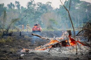Com apoio do governo federal Corpo de Bombeiros atua na Operação Fogo Controlado
