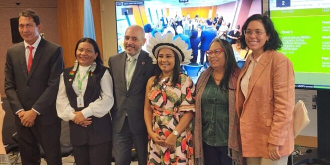 Na ONU, Acre protagoniza debate sobre distribuição de recursos internacionais para moradores da floresta