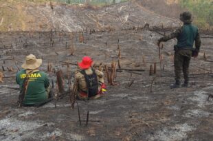 46 pessoas são presas em flagrante por descumprimento à proibição de queimar