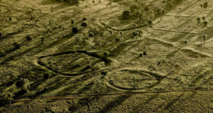 Desmatamento no Acre ameaça apagar vestígios de uma civilização milenar