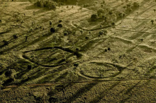 Desmatamento no Acre ameaça apagar vestígios de uma civilização milenar