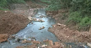 Governo e TCE firmam protocolo de intenções para restaurar a bacia hidrográfica do Igarapé São Francisco