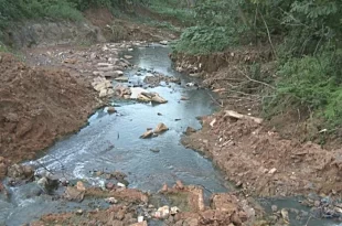 Governo e TCE firmam protocolo de intenções para restaurar a bacia hidrográfica do Igarapé São Francisco