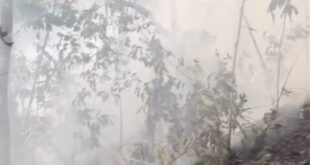 Incêndio no Parque Nacional da Serra do Divisor ameaça uma das áreas de maior biodiversidade do planeta