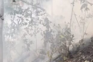 Incêndio no Parque Nacional da Serra do Divisor ameaça uma das áreas de maior biodiversidade do planeta