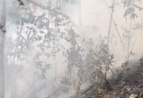 Incêndio no Parque Nacional da Serra do Divisor ameaça uma das áreas de maior biodiversidade do planeta