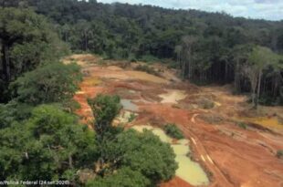 MPF requer a suspensão de licenças para mineração em áreas próximas a Terras Indígenas