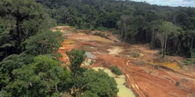 MPF requer a suspensão de licenças para mineração em áreas próximas a Terras Indígenas