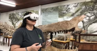 Ufac disponibiliza tour virtual pelo Museu de Paleontologia na Expoacre