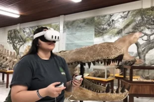 Ufac disponibiliza tour virtual pelo Museu de Paleontologia na Expoacre