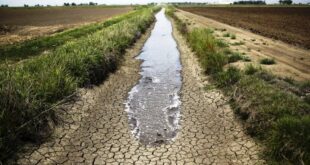 Imersão aos períodos de mudanças climáticas é oportunizada na Expoacre