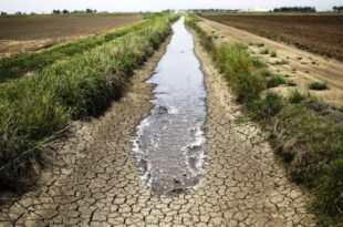 Imersão aos períodos de mudanças climáticas é oportunizada na Expoacre