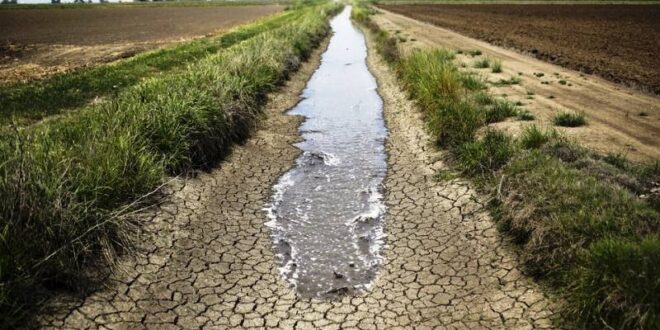 Imersão aos períodos de mudanças climáticas é oportunizada na Expoacre