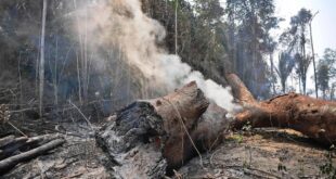 Saúde Itinerante leva serviços especializados ao Rio Gregório para reduzir os impactos da fumaça das queimadas