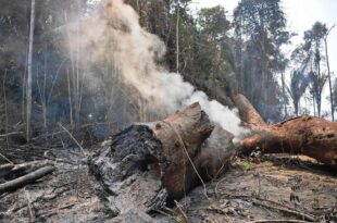 Saúde Itinerante leva serviços especializados ao Rio Gregório para reduzir os impactos da fumaça das queimadas