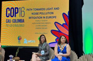 Acre fala sobre elaboração do Plano Estadual de Biodiversidade em evento paralelo à COP16