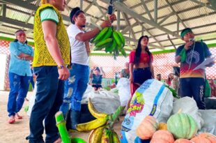 População da Terra Indígena Kaxinawá de Nova Olinda é beneficiada pelo PAA