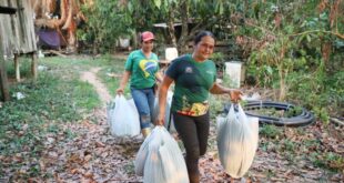 Produção familiar percorre jornada de dedicação e logística até chegar ao prato dos estudantes