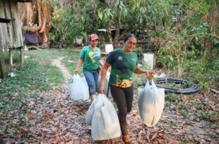 Produção familiar percorre jornada de dedicação e logística até chegar ao prato dos estudantes
