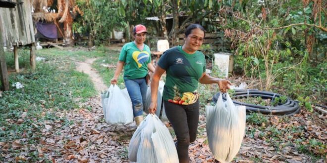 Produção familiar percorre jornada de dedicação e logística até chegar ao prato dos estudantes