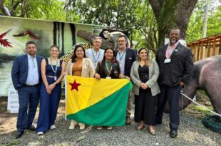 Acre participa de painel sobre iniciativas pioneiras em REDD+ Jurisdicional na COP16