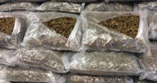 Homem com 15kg de skunk é preso em veículo de aplicativo