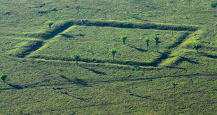 Marcas do passado: Geoglifos na Amazônia serão debatidos em Workshop nesta sexta, 25