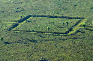 Marcas do passado: Geoglifos na Amazônia serão debatidos em Workshop nesta sexta, 25
