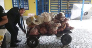 MPAC e Vigilância Sanitária apreendem mais de meia tonelada de alimentos impróprios para o consumo