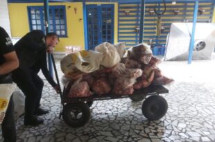 MPAC e Vigilância Sanitária apreendem mais de meia tonelada de alimentos impróprios para o consumo