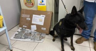 PF apreende 1,6 kg de drogas em operação nos Correios