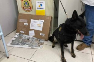 PF apreende 1,6 kg de drogas em operação nos Correios