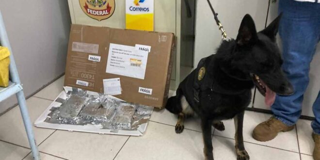PF apreende 1,6 kg de drogas em operação nos Correios