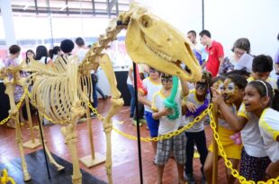 Viver Ciência celebra 10 anos promovendo conhecimento e inovação no Acre