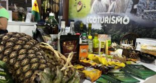 Abacaxi gigante de Tarauacá e farofa de pirarucu com castanha e banana comprida ganham destaque na Festuris