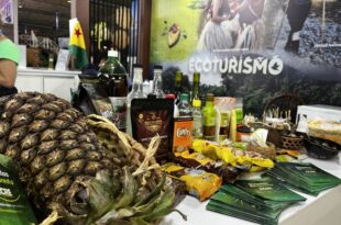 Abacaxi gigante de Tarauacá e farofa de pirarucu com castanha e banana comprida ganham destaque na Festuris