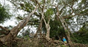 Governo do Acre promove fórum com participação de povos indígenas e comunidades tradicionais