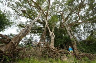 Governo do Acre promove fórum com participação de povos indígenas e comunidades tradicionais