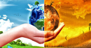 Comitiva acreana participa de conferência sobre Mudanças Climáticas, no Azerbaijão