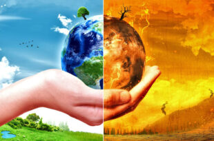 Comitiva acreana participa de conferência sobre Mudanças Climáticas, no Azerbaijão