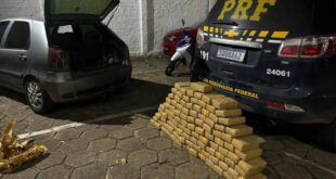 PRF intercepta veículo carregado com 107 kg de maconha