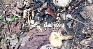 Restos mortais são encontrados dentro de mala queimada na Cidade do Povo