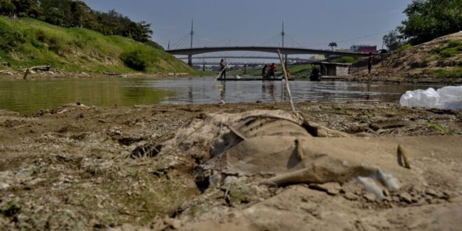 Extremos climáticos e baixa concentração de oxigênio são apontados como possíveis causas da mortandade de peixes no Rio Acre