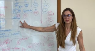 Grupo de Trabalho debate a elegibilidade do Acre ao padrão de excelência ambiental