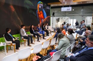 COP 29: Acre integra painel sobre desafios e oportunidades do cadastro ambiental