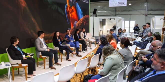 COP 29: Acre integra painel sobre desafios e oportunidades do cadastro ambiental