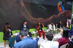 Acre é destaque internacional pela implementação e captação de recursos de créditos de carbono