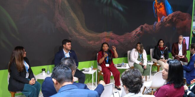 Acre é destaque internacional pela implementação e captação de recursos de créditos de carbono