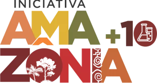 Em parceria com o BID, Iniciativa Amazônia+10 lança programa de residência na Amazônia Legal